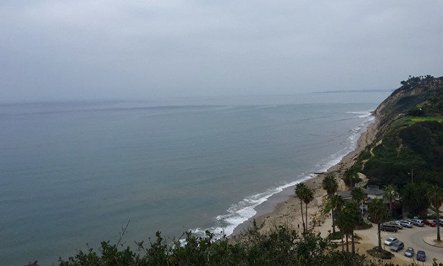 ViewfromDougPreserve21715