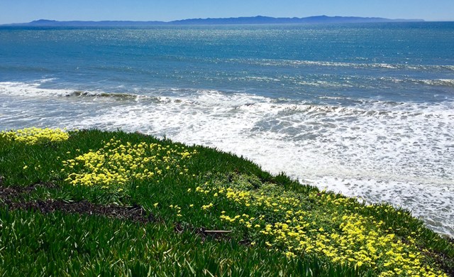 At least I had this to look at while I was forcing myself to slow down on my run.