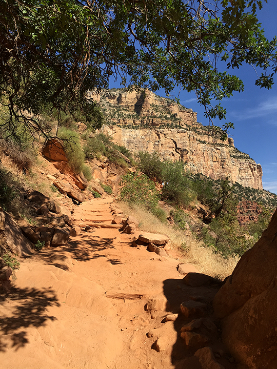 Photo of the view up on Bright Angel Trail in the Grand Canyon