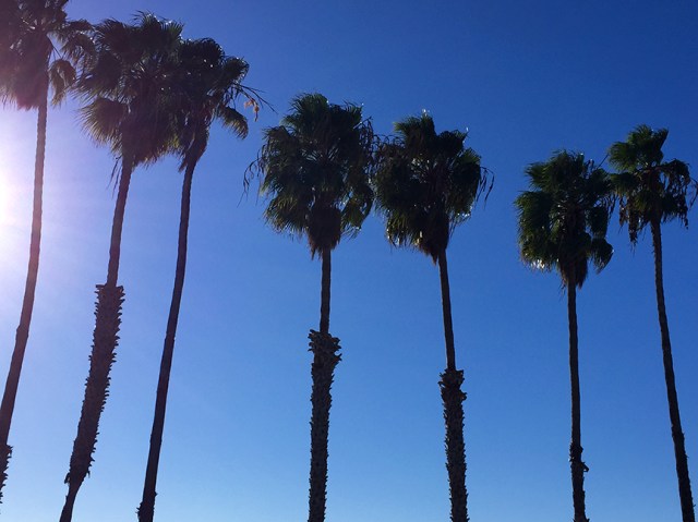 ChasetheBird9_Harbor