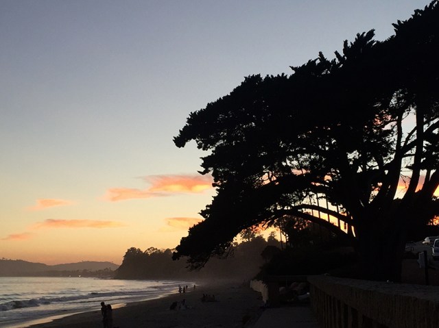 ButterflyBeachDinner72216