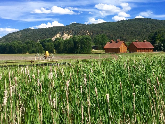 EveningRunCatherineStore