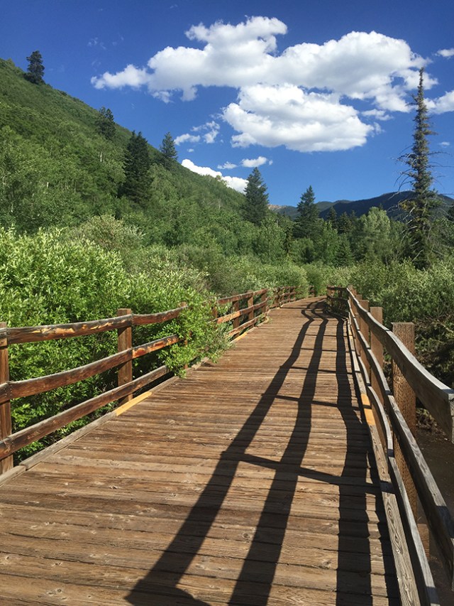 NaturePreserveBridge