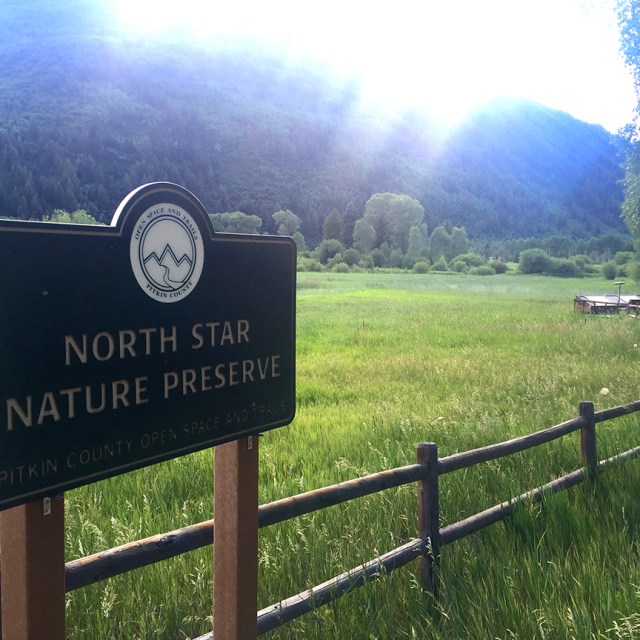 NorthStarSign