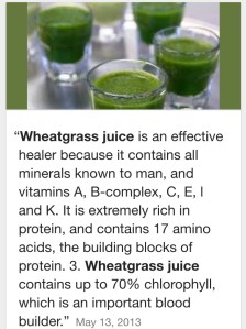 wheatgrassbenefits