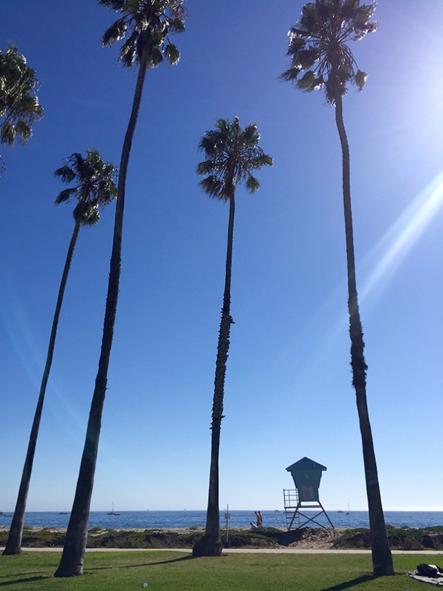 eastbeachlifeguard11516