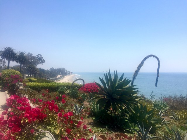 ButterflyBikepathRun